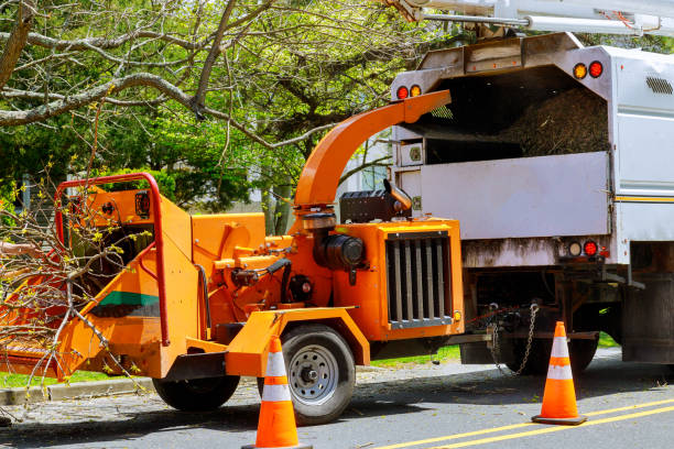 Best Emergency Tree Removal  in Centerfield, UT